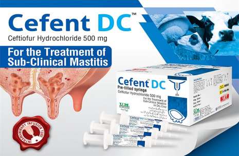 CEFENT