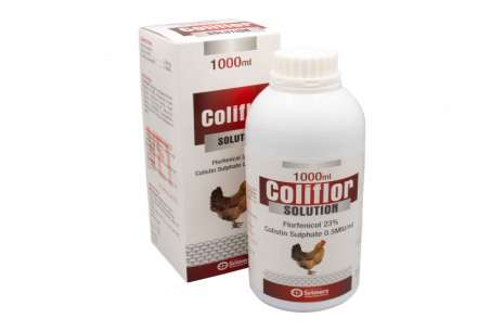 Coliflor