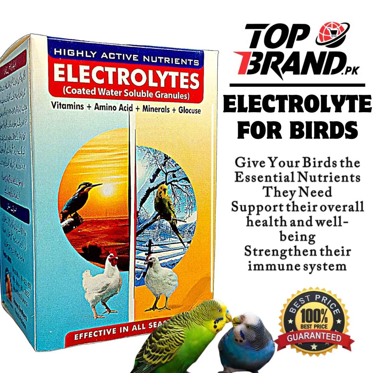Bird Electrolytes (100g) with Glucose, Vitamins, Minerals & Amino Acids