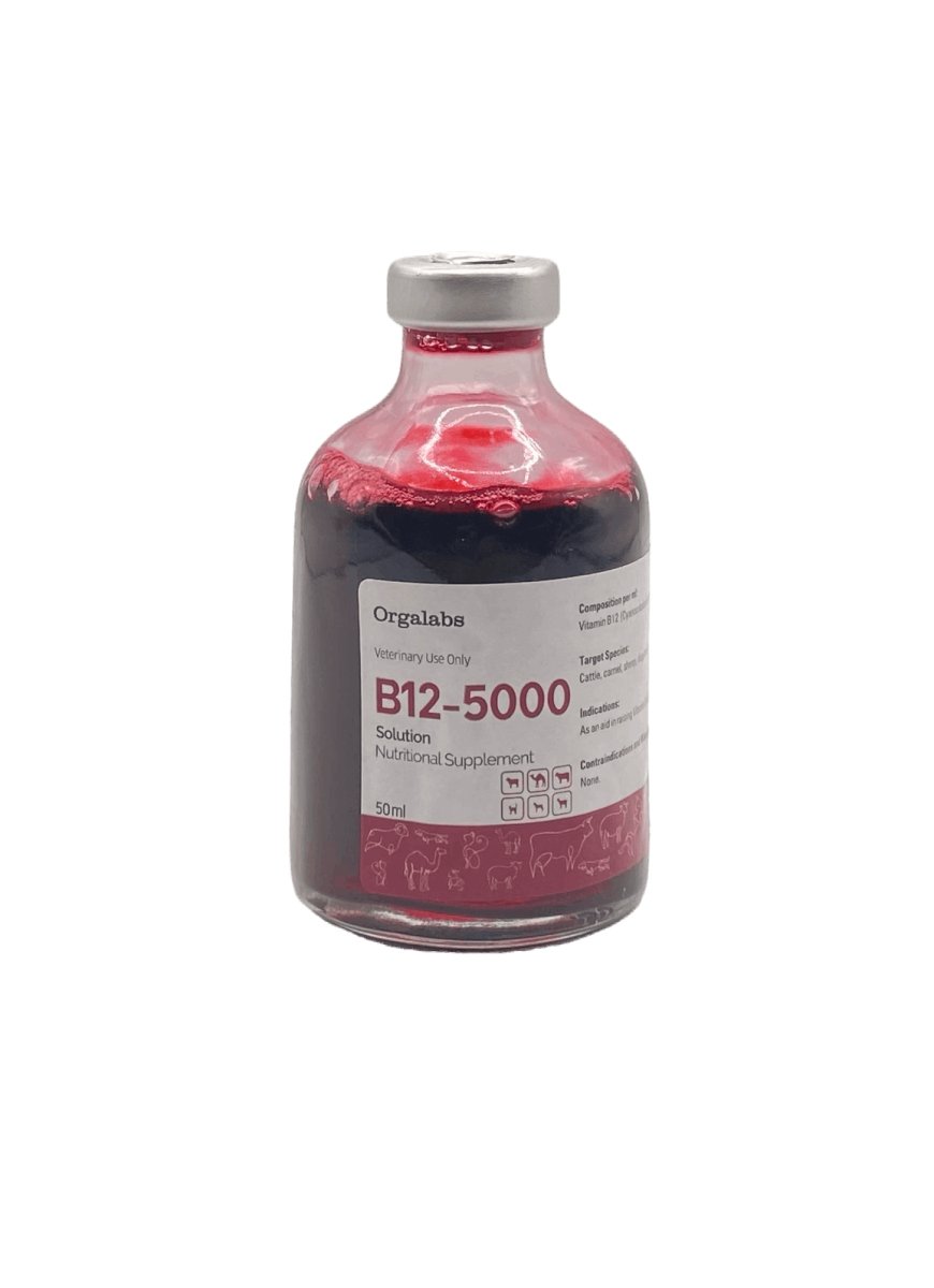 B12 5000 Orgalabs 100ml