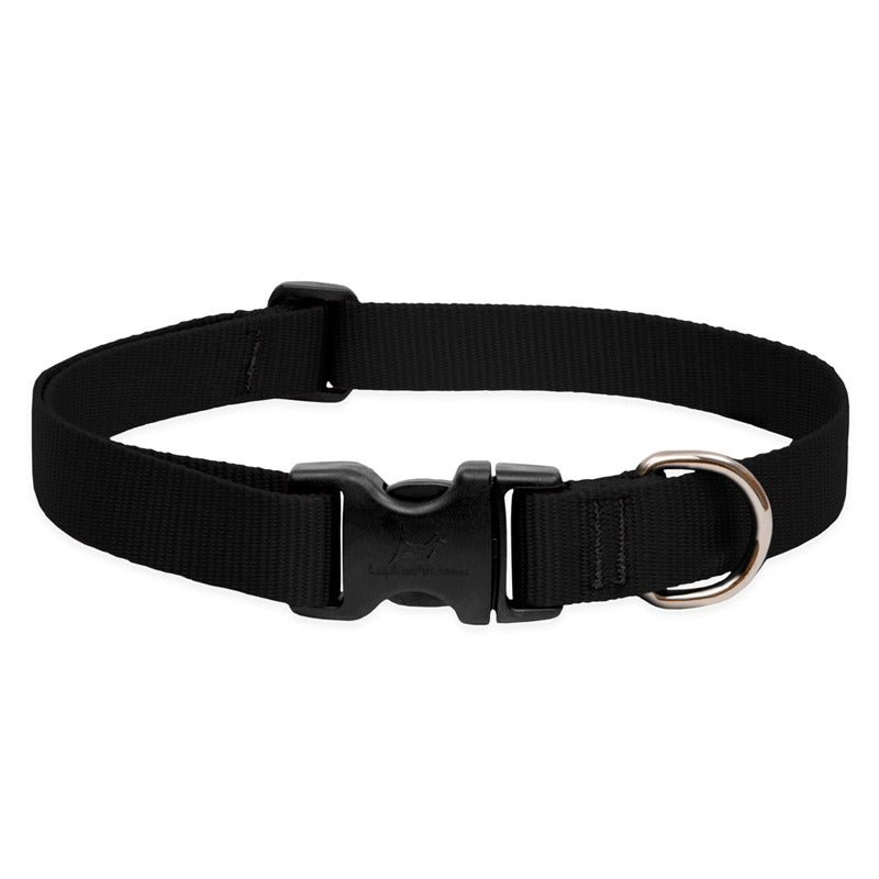 BASICS Adjustable Collar BLACK 3/4Inch FOR MEDIUM DOGS