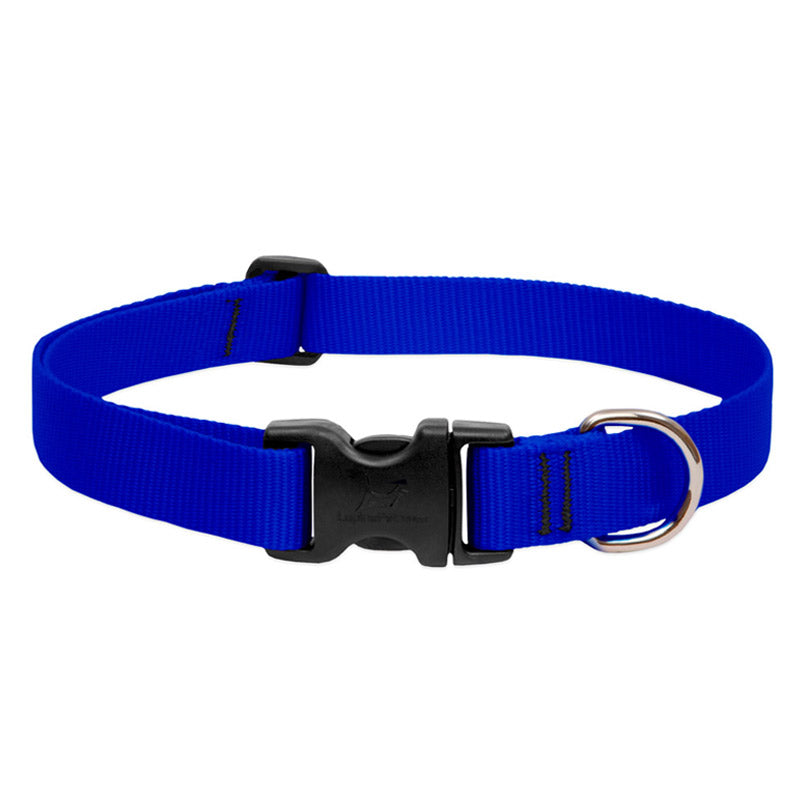 BASICS Adjustable Collar BLUE 3/4Inch FOR MEDIUM DOGS