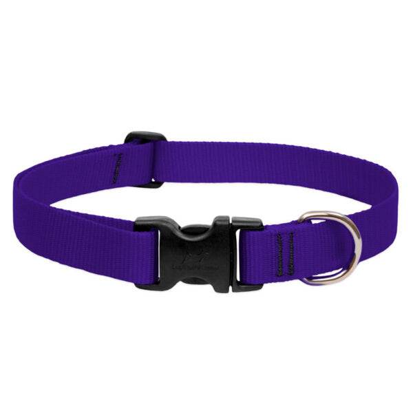 BASICS Adjustable Collar PURPLE 3/4Inch FOR MEDIUM DOGS