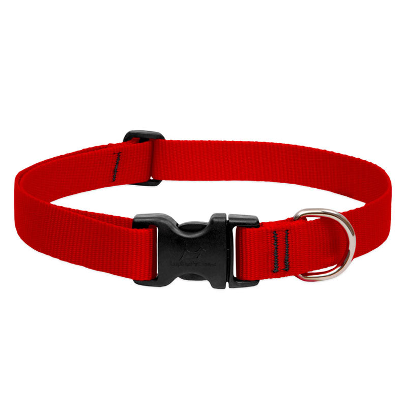 BASICS Adjustable Collar RED 3/4Inch FOR MEDIUM DOGS