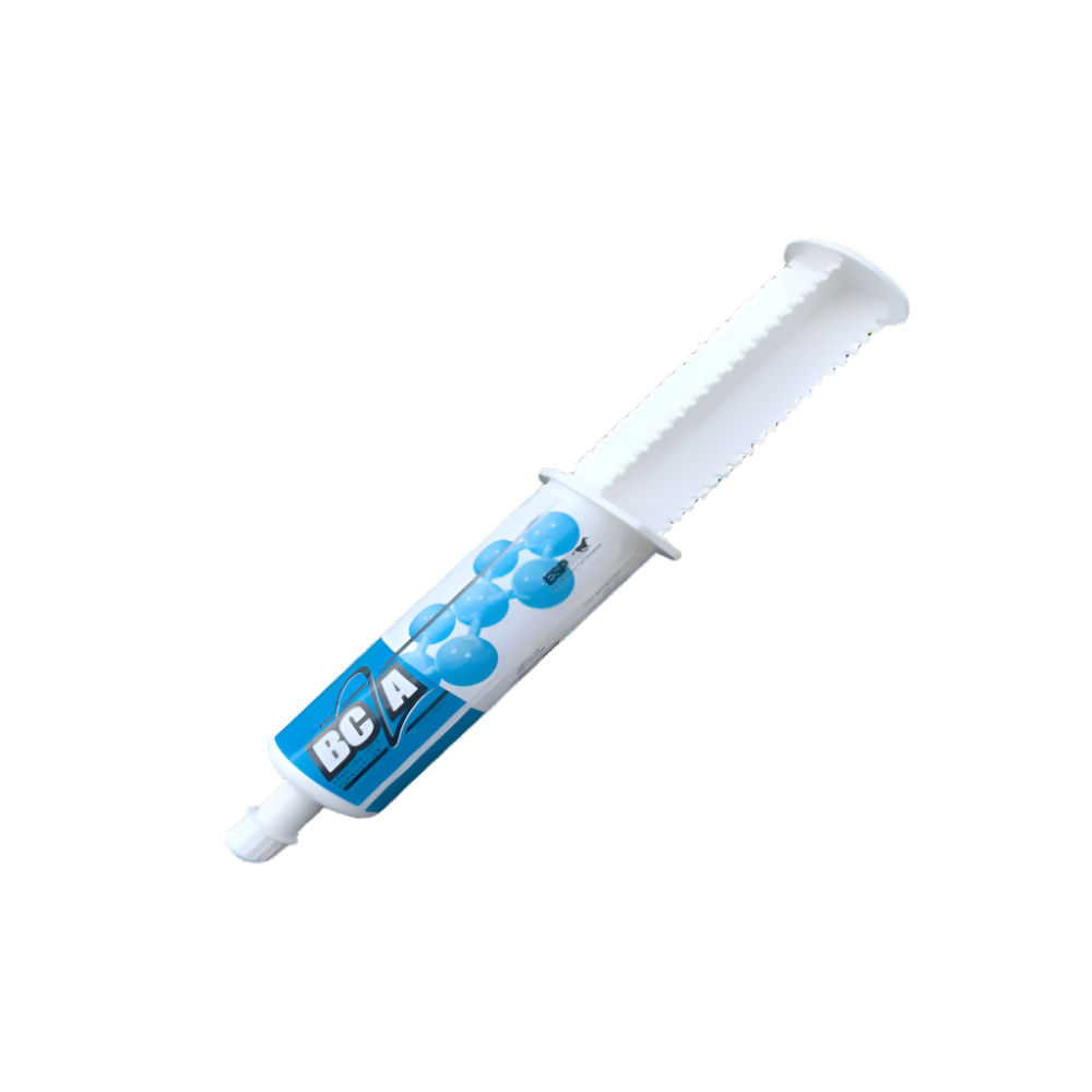 BC2A® EQUINE ORAL PASTE-55G-ESP USA