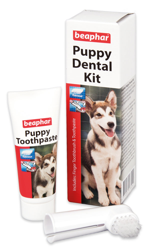 Puppy Dental Kit