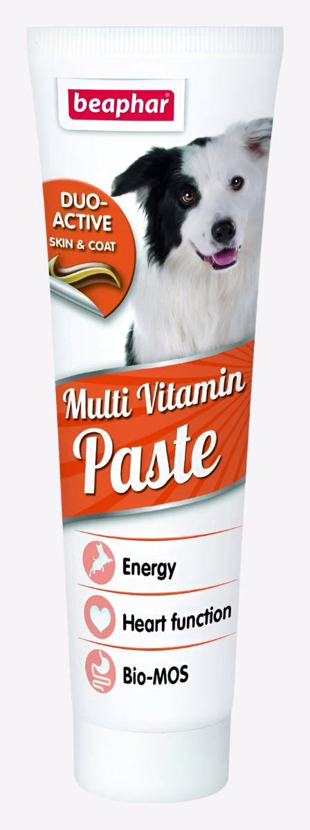 Beaphar Duo Active Paste Multivitamin Dog - 100g