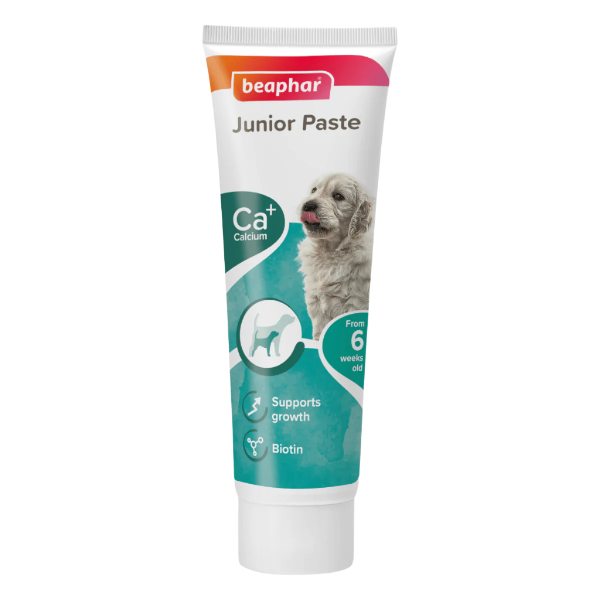 Beaphar Junior Paste Dog - 100g