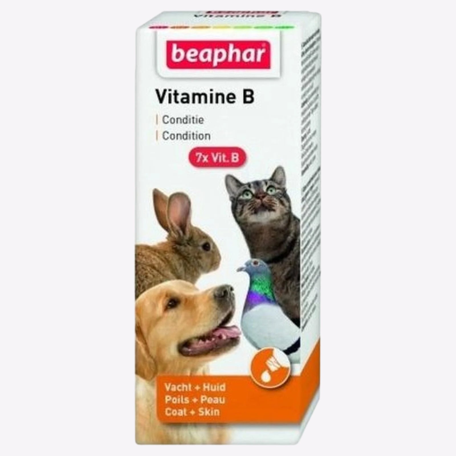 Beaphar Vitamin B Complex All Pet - 50ml