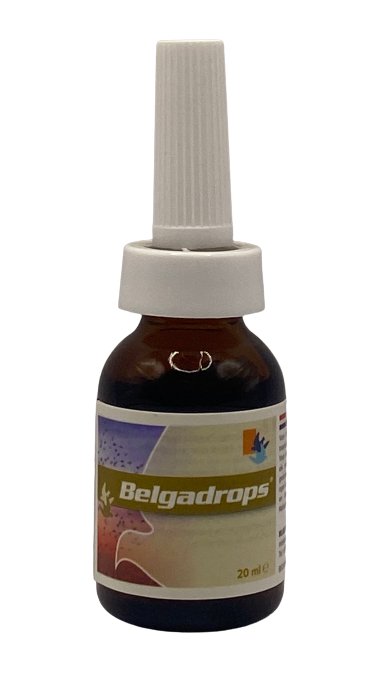 Belgadrop 20 ml eye and nose drops for pigeons