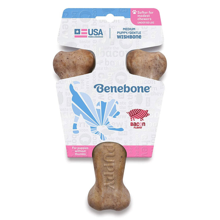 BENEBONE Wishbone Puppy Dog Chew Toy (Bacon)
