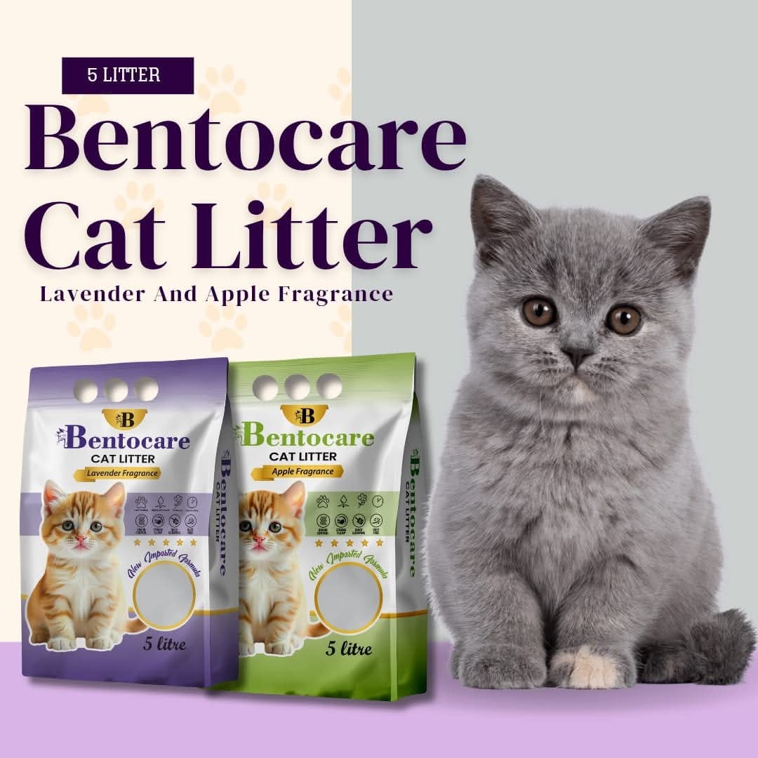 Bentocare Cat Litter | Premium Bentonite Cat Litter