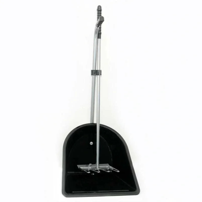 Beucephal Stablemate With Scoop