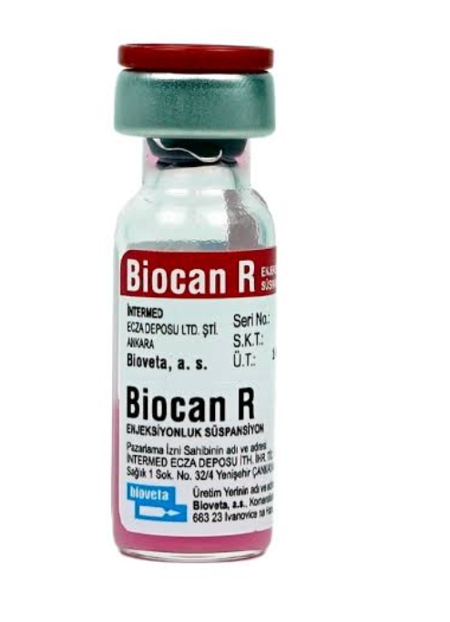 Biocan R rabbies vaccine buy online at karachi