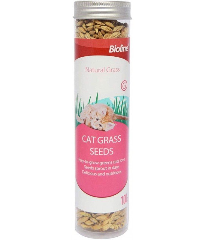 Bioline Catgrass Seeds - 100g