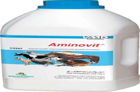 AMINOVIT