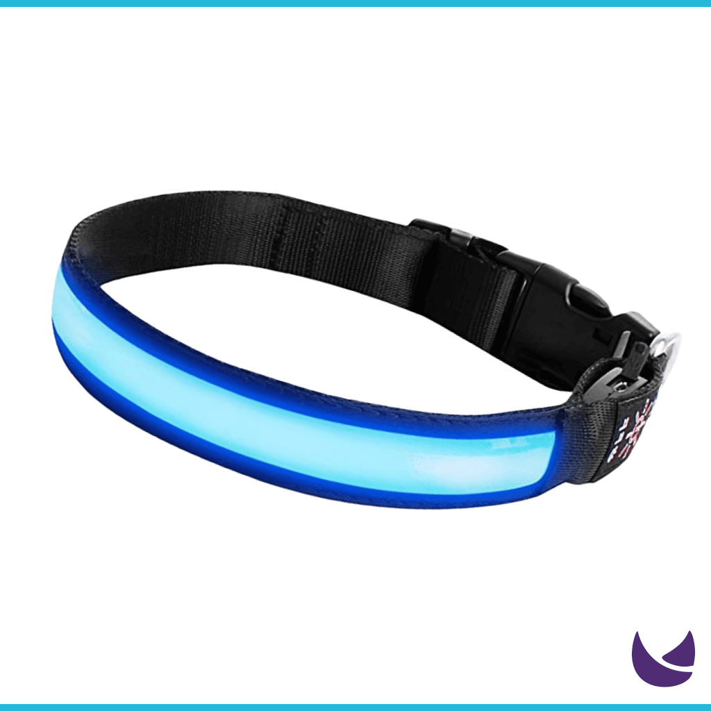 Blue Neon LED Collar for Dogs