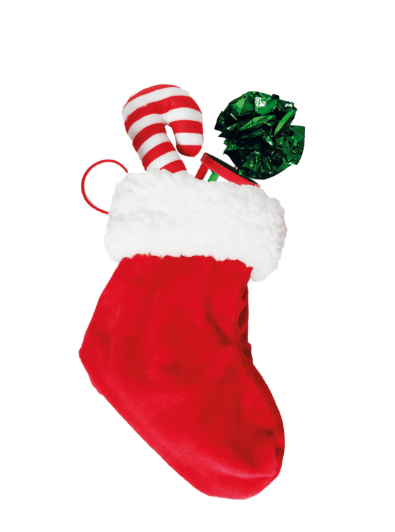BOBBY Christmas Cat Toy Stocking Gift, 5pcs