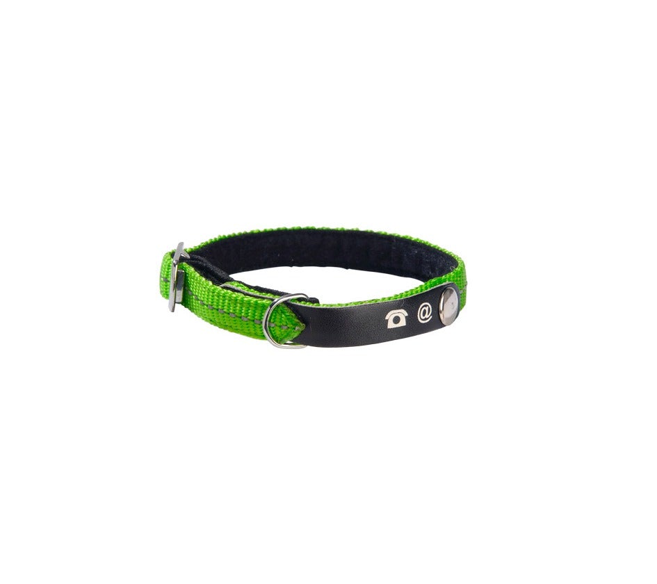 BOBBY Lost Cat Collar - Green