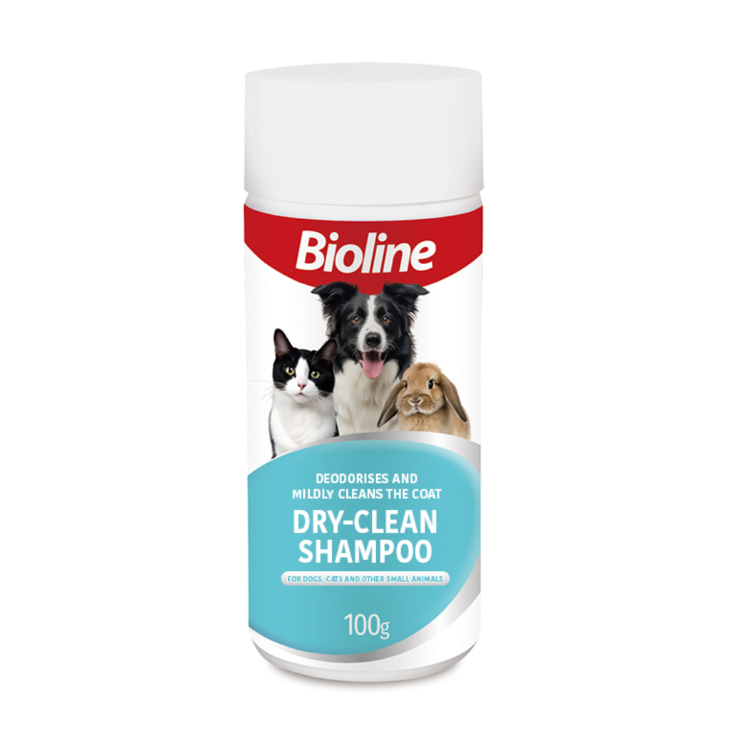 Boline Dry Clean Shampoo - 100g