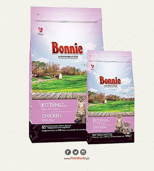 Bonnie Kitten Food – Chicken