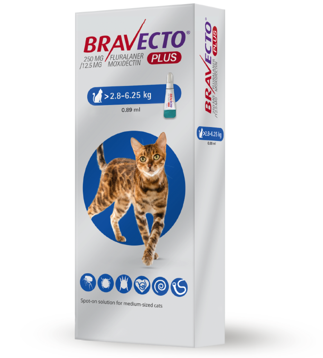 Bravecto Plus 250 mg / 12.5 mg for Medium-Sized Cats