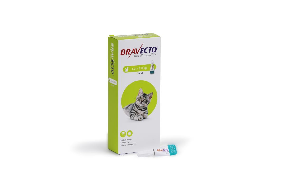 Bravecto Spot On 112.5 mg for Small Cats