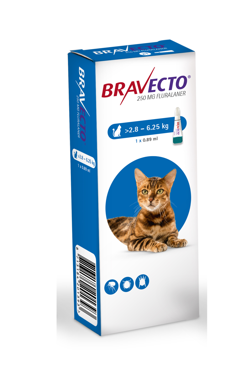 Bravecto Spot On 250 mg for Medium-Sized Cats