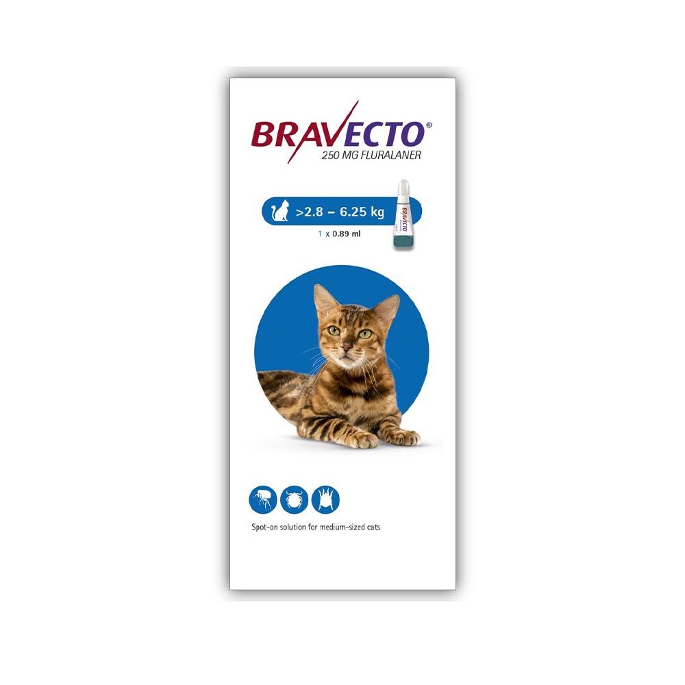 Bravecto 250mg Spot-On Solution for Medium Cats (2.8 – 6.25 Kg)
