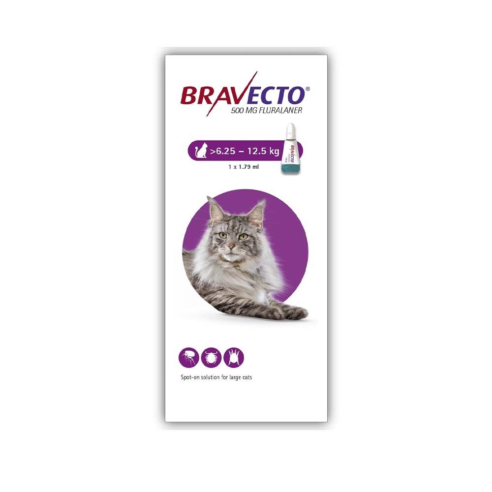 Bravecto 500mg Spot-On Solution for Large Cats (6.25 – 12.5 Kg)