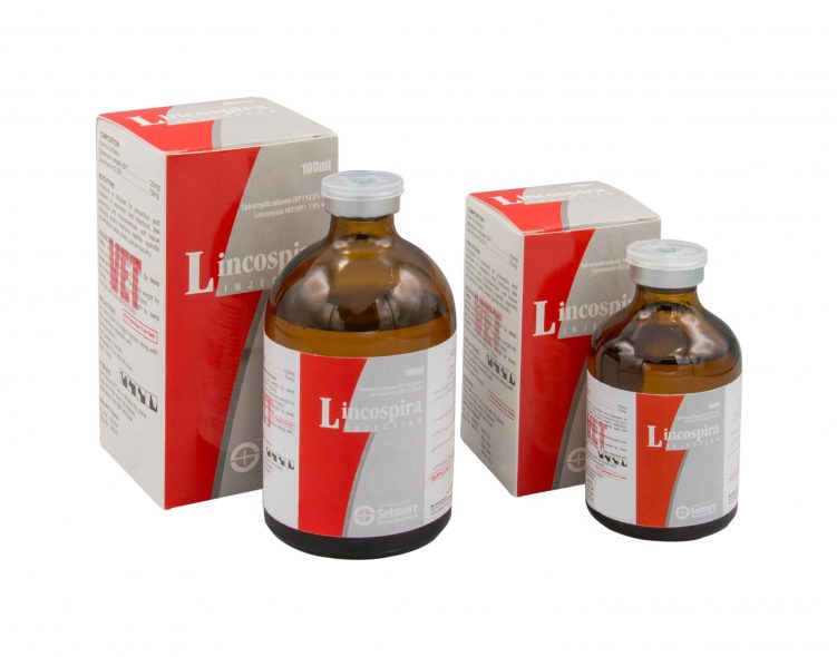 Lincospira