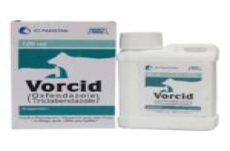 Vorcid – Syp (ICI) 250 ml