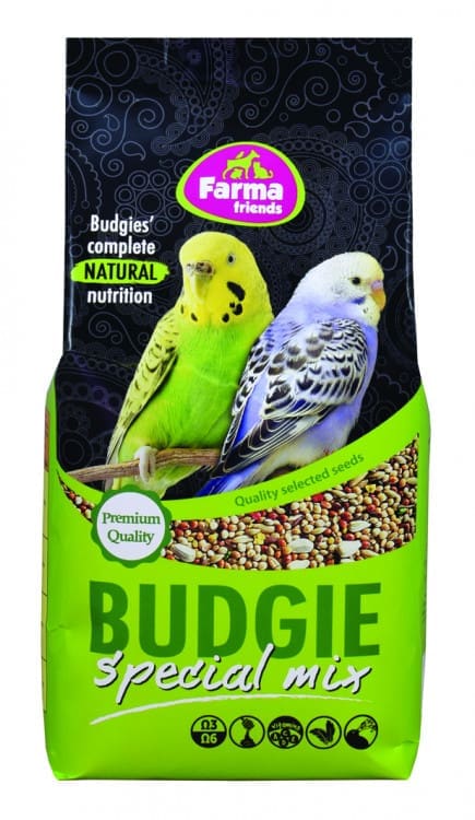 Budgie Mix