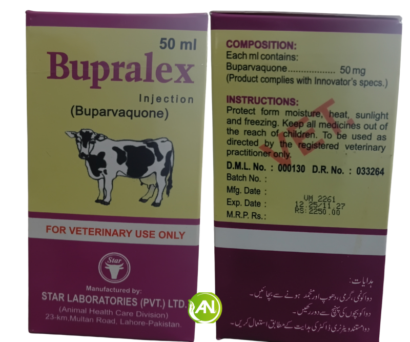 Bupralex 50 ml