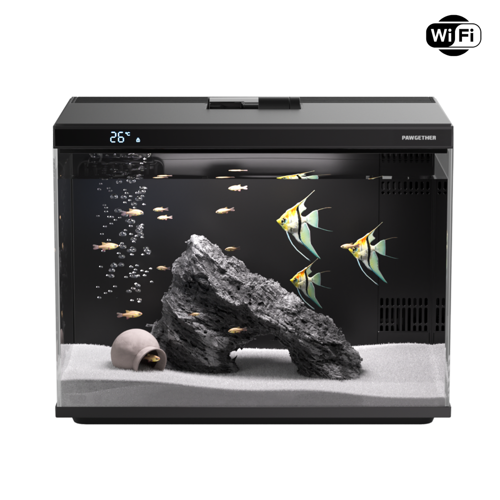 Pawgether Cooke 1s Smart Aquarium With Feeder CK 1S [Wifi Version]-45.4×26.3×35.3cm [30Litre]