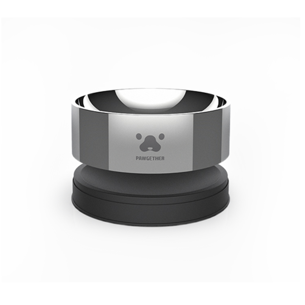 Pawgether Stainless Steel Pet Bowl – 2 Series