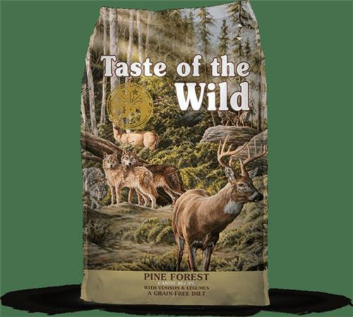 TOTW Pine Forest Canine