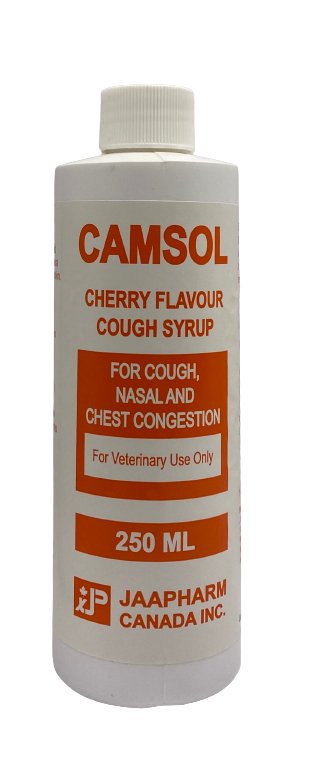 Camsol 250ml