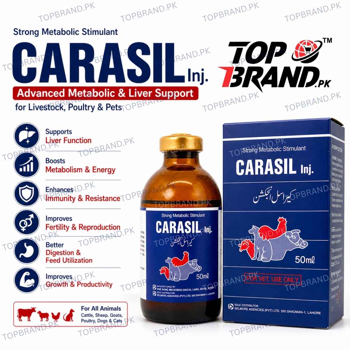 CARASIL Injection 50ml