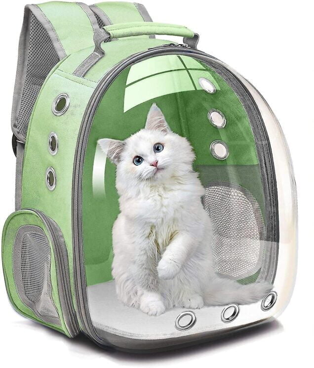 Transparent Cat Backpack Carrier