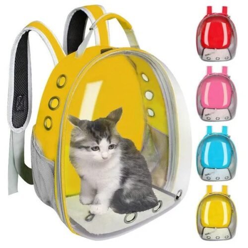 Cat Backpack / Cat Carrying Bag / Transparent Back