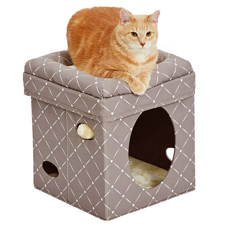 Curious Cat Cube Mushroom