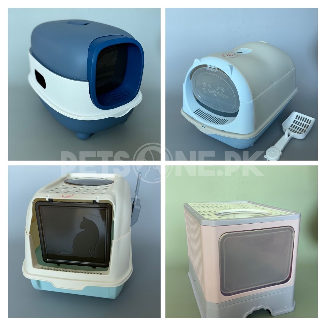Cat Enclosed Litter Box