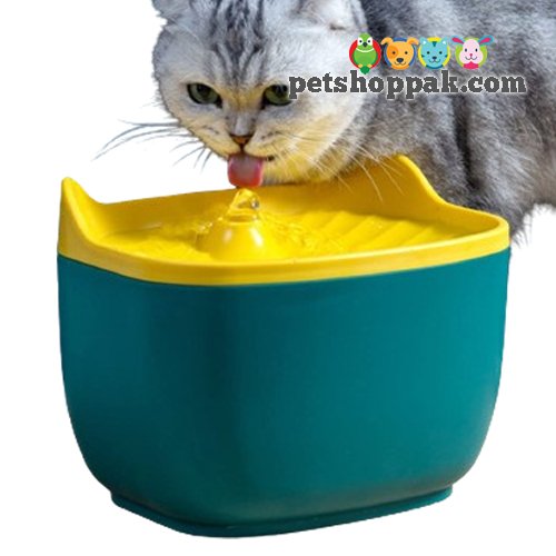 Cat Face Water Fountain for Pets