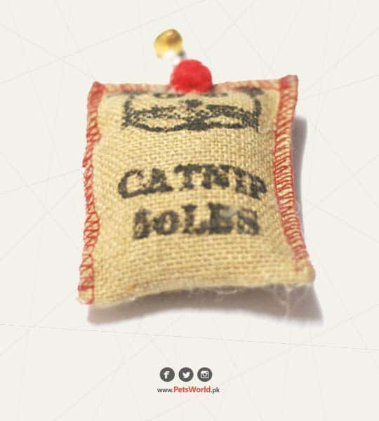 Cat Nip Bolus