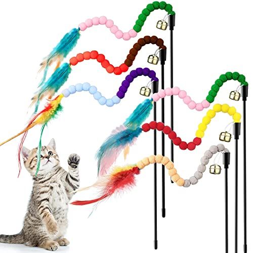 Cat Playing Stick with Long Tail