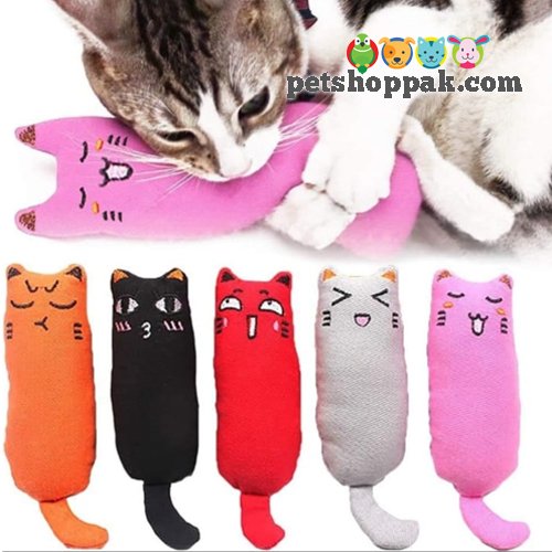 Cat Plush Catnip toy