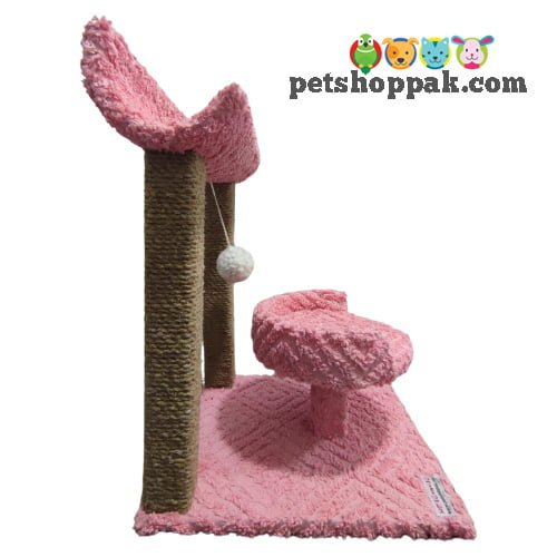 Cat Scratching Curve and Bed