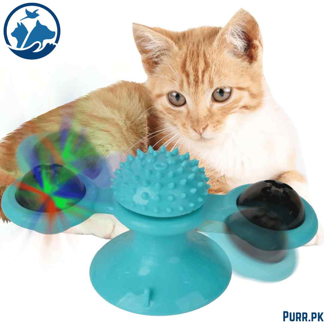 Cat Windmill Toy With Catnip &amp; Light