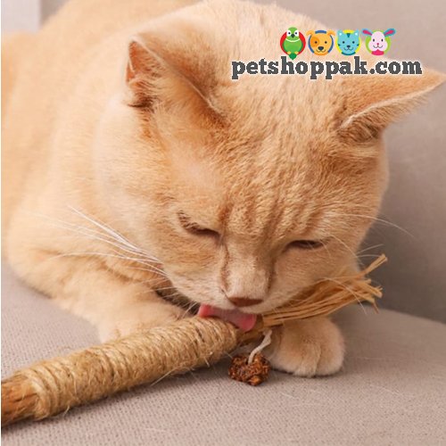 Catnip Stick Raffia Grass Toy